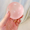 Coconut Oil Squishy ADHD Fidget Toy