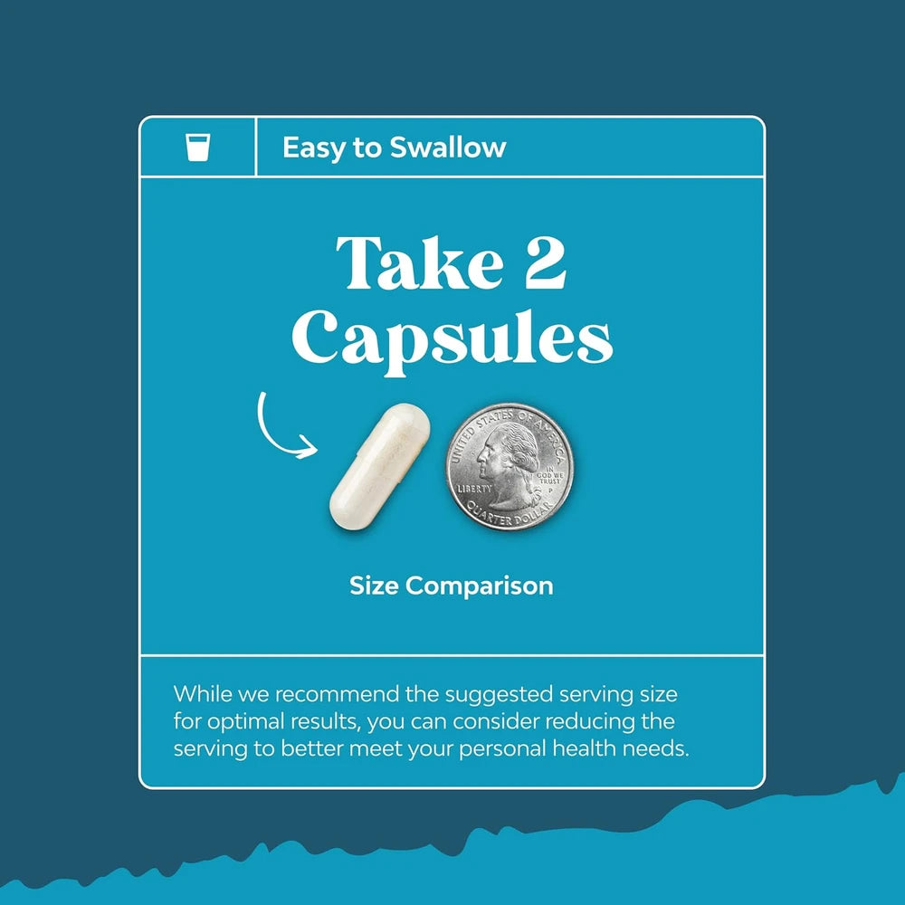 Bacopa Monnieri Brain Health Supplement for Memory and Focus