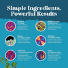 Bacopa Monnieri Brain Health Supplement for Memory and Focus